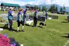 Dozens of dogs barking and their owners’ shouting could be heard as the annual Alaska Summer Solstice Flyball Tourneys began Wednesday at the state fairgrounds in Palmer. JACOB MANN/Frontiers