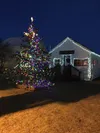Wasilla Museum tree lighting Courtesy photo.