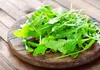 Perk up your next salad with some tangy arugula.