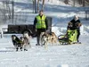 The 40-mile race starts at Knik Lake, ventures down the Iditarod Trail for 20 miles to the Nome sign, and loops back to Knik. The 10-mile race also goes down the Iditarod Trail, but only for 