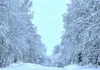Heavy snow blanketed the Mat-Su Borough, creating lovely wintery scenes, but also causing power outages for thousands and cancellations for in-person learning at MSBSD schools Katie Stavick/F