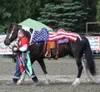 Art Rodeo AK from FB.jpg