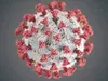 COVID-19 cases have increased recently throughout Alaska, DHSS reports. File photo