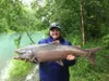 ​Tresa Nevill caught a nice-sized king salmon from Eklutna Tailrace this past Saturday by drifting salmon roe under an ESB Bobber. Courtesy of Andy Couch