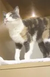Wake up! And adopt me!