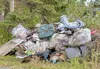 This week, a massive cleanup project, dubbed the Williwaw Project is set to continue those community efforts, addressing ongoing safety issues as volunteers will be working to rid the neighbo