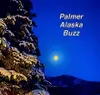Palmer Buzz