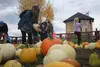Families pick out their favorite pumpkins in the pumpkin patch at the Pyrah's Pioneer Peak Farm 2017 Fall Festival Sept. 23. JACOB MANN/Frontiersman