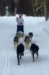 Juliah DeLoach, of Trapper Creek, finished first in the Hal Bartko Memorial Nome Sign 10 Sunday in Knik. Courtesy photo