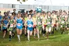 A pack of cross-country runners head out on the boys 2.5-killomer race during the Mat-Su Borough Championships races at Colony High School last week. Local coaches and runners learned Thursda