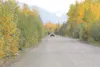 ROBERT DeBERRY/Frontiersman file photo A vehicle drives along
Nelson Road heading west toward Machetanz Elementary School. The
borough hopes to surface 4,200 feet of the road next year.