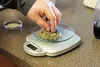 Kenan Williams, a member of the Midnight Greenery staff, examines bubble hash, a form of marijuana concentrate. BRIAN O’CONNOR/Frontiersman