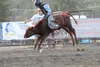 Rodeo Alaska Executive Director Frank Koloski presented to a meeting of the Palmer City Council on March 23 to announce that over 50 bulls and 50 bull riders would be headed to Alaska for wha