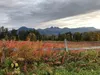 The fall colors are intensifying these days. Courtesy Barbara Hunt