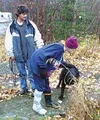 Anice Williams, in front, gives her fluffy Newfoundland Sonny a
good-bye rub as Palmer resident Jaime Snedden waits to take him
home. Photo by RINDI WHITE/Frontiersman.