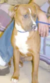 I need a home
