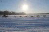 The Willow 300 sled dog race has been canceled. Frontiersman file photo