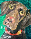 Palmer Buzz