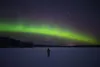 The northern lights fill the sky above Farm Loop Jan. 5, 2019. Courtesy of Adam Christiansen