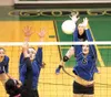 ROBERT DeBERRY/Frontiersman Palmer’s Jenna Arlow and Brecken
Riekena block a Kodiak shot during the their Northern Lights
Conference Championships win Saturday at Colony High School. Robert D