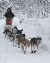 Kristin Bacon and her team head out for a training run after the first big snow of 2013. The Valley musher is slated to compete in the Kuskokwim 300. HEATHER A. RESZ/Frontiersman