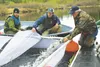 Heath Turner and Jake Paul steady the holding tank while Gary Fandrei mans a hose delivering another load of smolt to Shell Lake May 28. About 70,000 smolt were added to the lake last week. H