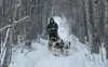Jessie Holmes heading back to Grayling from Shageluk through trees and sloughs. Courtesy of David Poyzer/Iditarod