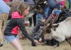 The Fall Festival at the Reindeer Farm starts Saturday at 11 a.m. Frontiersman file photo