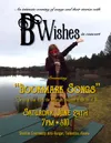 B Wishes Storytelling Concert in Talkeetna