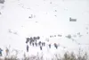 Valley ski programs share similarities and the Hatcher Pass trails
