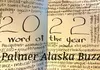 Palmer Buzz