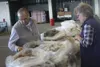 Fiber artists and enthusiasts gathered from across the state for the second annual Mat-Su Valley Fiber Arts Festival at the Alaska State Fairgrounds JACOB MANN/Frontiersman
