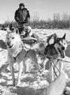 Dog sled tours put you right in the sled basket. Photo courtesy
of Lucky Husky