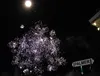 Colony1.JPG