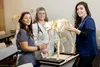 Dr. Montalbano, center, has been key to bringing the new Veterinarian Tech program to Mat Su College. Courtesy photo