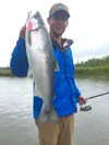 A rare Little Sustina River coho salmon caught earlier this week. Courtesy of Andy Couch