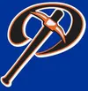 Palmer Pioneers