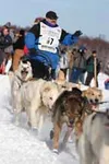 Doug Grilliot of Willow waves to the crowd at the Willow Restart
last Sunday morning. Photo by AMY MENEREY/Frontiersman.