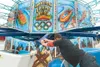 SURE SIGN FAIR’S COMING