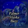 Palmer Buzz