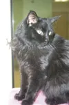 Needs a home