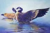 "Courtship" by Terry McAnnelley is hanging in the Blaine (Minn.) city hall.