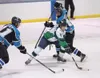 ROBERT DeBERRY/Frontiersman Alaska Avalanche forward Cody
Bisbing takes control of the puck during Wednesday’s game against
the Wenatchee Wild at the MTA Events Center in Palmer. Robert DeBer