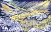 “Fall Fire, Hatcher Pass” by Noël Bell.