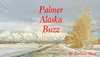 Palmer Buzz