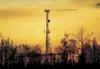 The Mat-Su Borough has filed notice that a cellular telephone carrier is looking to build a tower on borough land near Goose Bay Elementary School. ROBERT DeBERRY/Frontiersman file photo