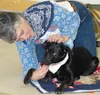 Karen Backlund has a little down time with her dog Shadow during
the puppy preschool class. A big portion of the Better Companion
courses focus on developing and strengthening the bond betwee
