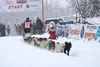 Brent Sass leaves the starting chute during the 2020 Iditarod restart. Tim Rockey/Frontiersman