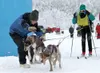 Photo courtesy MCDMA A handler lets the dogs loose as skijorer
Rebecca Knight takes off during the Montana Creek Dog Mushers
Association sled dog races on Saturday. For complete results, see
