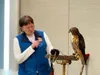 Nancy Wade, from the AK Wild Bird Rehab Center, along with Rhett, gave presentations about the red-tailed hawk, including what they like to eat, how they hunt, and preferred nesting areas dur